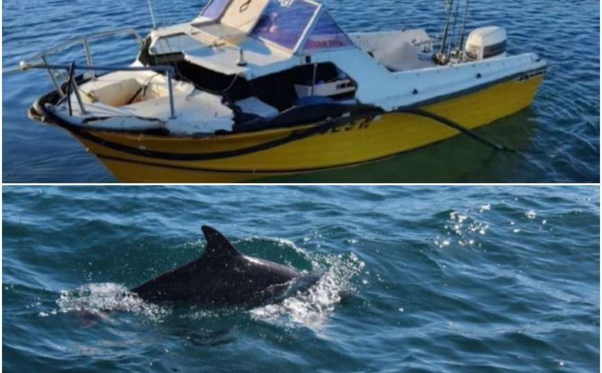 Bizarna nesreća zaprepastila mještane: Na mladića pao kit
