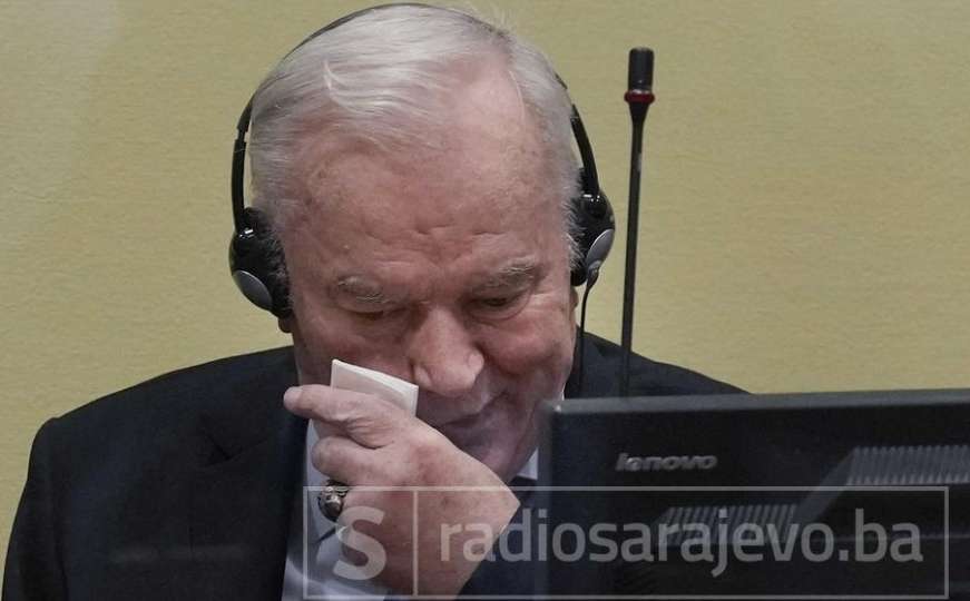 Sin Ratka Mladića najavio reviziju presude