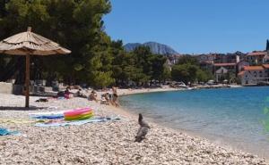 Vapaj iznajmljivača iz omiljenog ljetovališta građana BiH na Jadranu: Popustite mjere...