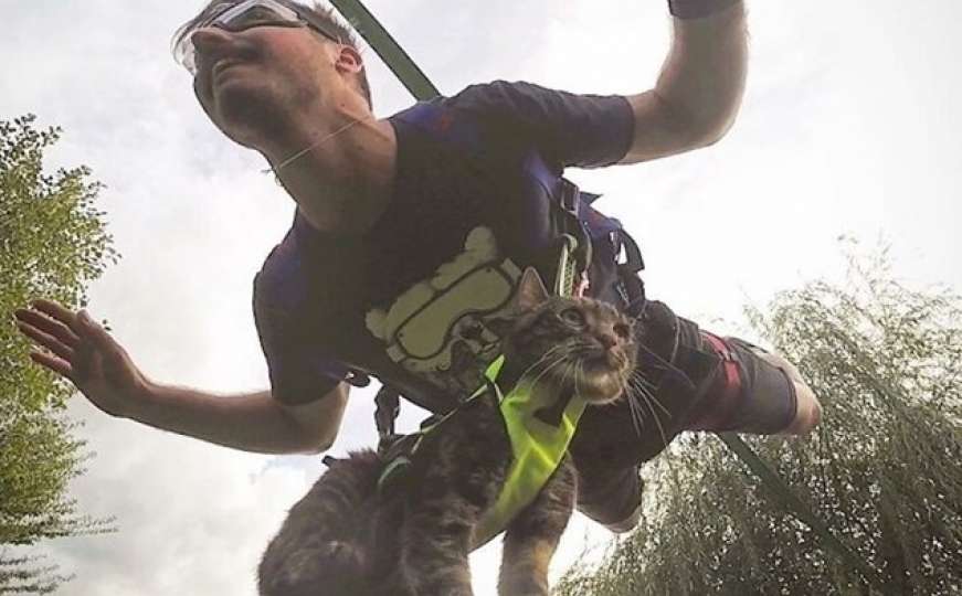 Mačka koja sa svojim vlasnikom ide u avanture postala internet senzacija