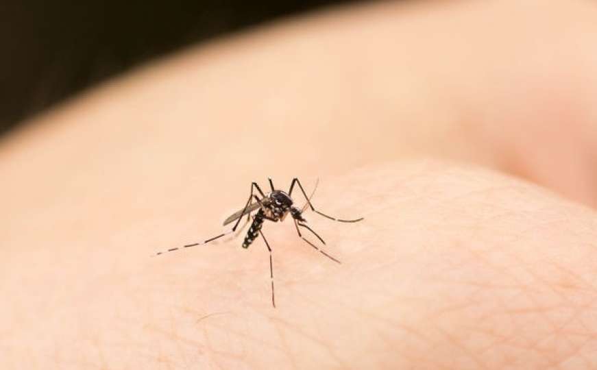 Iznenadit ćete se: Ovo su najčešći razlozi zašto vas komarci često ujedaju