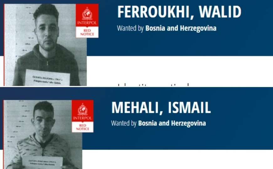 Interpol raspisao potjernicu za migrantima zbog ubistva u BiH