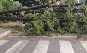 Stablo palo na automobil u banjalučkoj ulici, jedna osoba povrijeđena