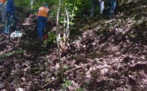 Završena ekshumacija: Kopao kanal i pronašao ostatke lobanje