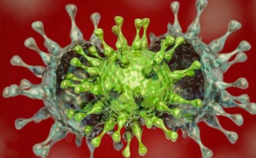 Potvrđeno: Delta soj koronavirusa stigao u regiju