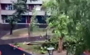Veliko nevrijeme stiglo u regiju: Snažan vjetar obarao stabla