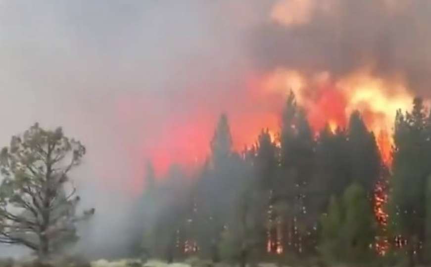 Rekordne temperature u Americi, šire se požari: U toku i masovne evakuacije