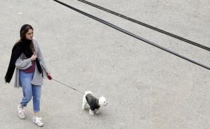 Iranci planiraju zabraniti vlasnicima šetnje pasa