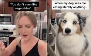 Svaki put prizor je isti: Pas moli vlasnicu za malo hrane