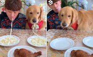 Takmičenje vlasnika i psa: Ko će pojesti više, a ko brže?