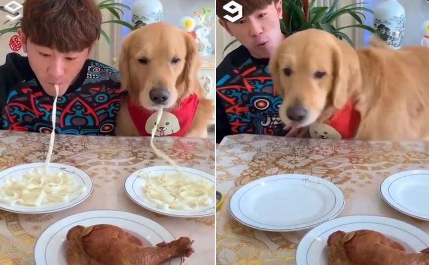 Takmičenje vlasnika i psa: Ko će pojesti više, a ko brže?
