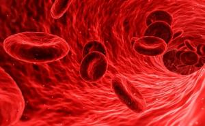 Imate 0 krvnu grupu? Evo na šta trebate biti oprezni 