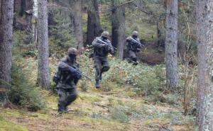 Austrija šalje vojsku na istočnu granicu