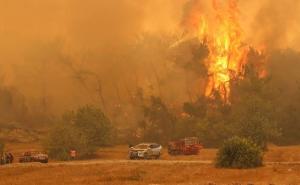 Vlada Federacije BiH šalje pomoć Turskoj u borbi protiv požara
