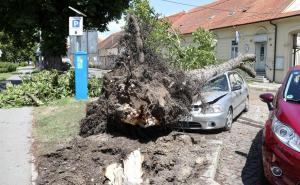 Snažno olujno nevrijeme u Hrvatskoj: Vjetar čupao stabla, padao grad, stradao i kamp
