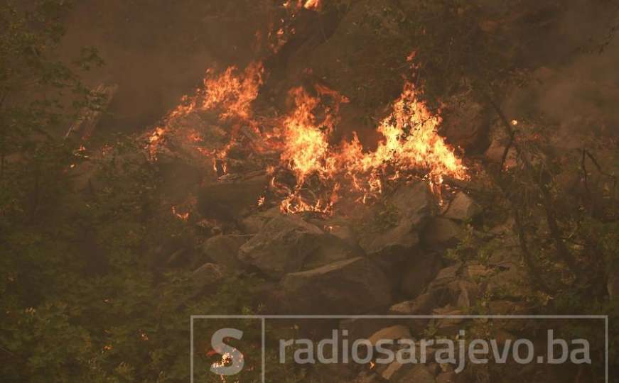 Ogromni požar poharao šume Kalifornije, 2.000 stanovnika moralo napustiti domove