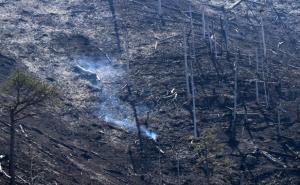 Požari se šire i u BiH: Vatrogasci se bore sa vatrom kod Stoca