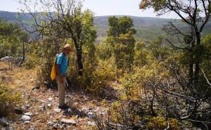 Požar kod Stoca i Neuma pod kontrolom: Samo jedna lokacija brine vatrogasce