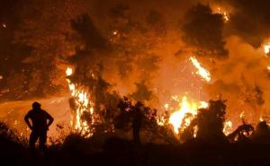 Strahoviti razmjer požara u Grčkoj: "U pola sata sve se pretvorilo u pepeo"