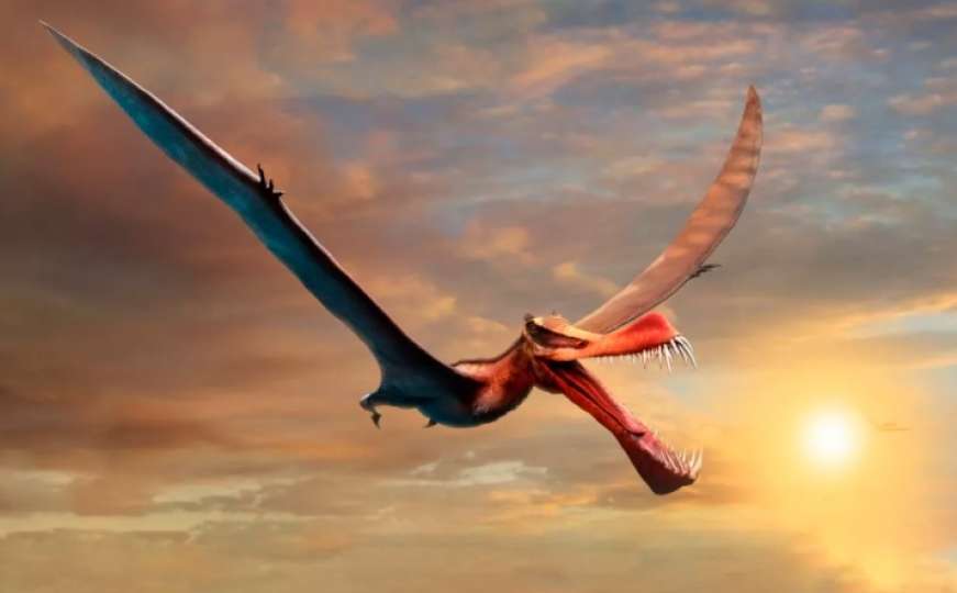 Upoznajte 'zastrašujućeg zmaja' koji je terorizirao drevno nebo iznad Australije