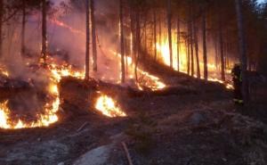 Teška noć za Jablanicu, Mostar i Stolac: Vatra ugrozila kuće!