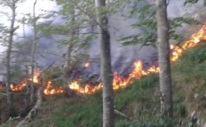 Helikopteri iz RS-a večeras počinju sa gašenjem požara u Jablanici