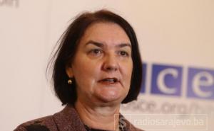 Švraka isključen: Nastavak rada disciplinske komisije u predmetu Tadić u septembru