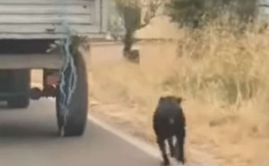 Užasavajući snimak: Maltretirao psa tako što ga je svezao za prikolicu i vozio 