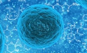 Otkriven C.1.2 - novi soj koronavirusa!