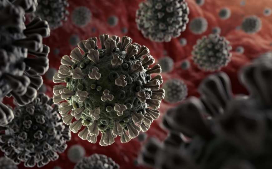 WHO prati novu varijantu koronavirusa pod imenom "Mu"