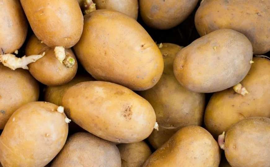 Stručnjaci: Postoji specifičan znak da krompir nije jestiv i da je opasan za zdravlje