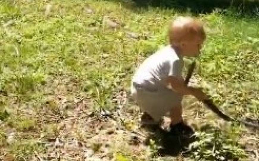 Dječak se igrao u dvorištu pa šokirao oca kada je vidio šta mu sin drži u rukama