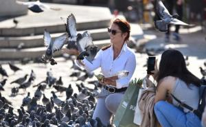 Poletjela golubica sa Baščaršije: Sarajevo vrvi od turista i u septembru