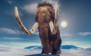 Naučnici žele "oživjeti" mamuta - upravo su dobili 15 miliona dolara da to i naprave