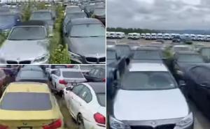 "Groblje" za automobile: 3000 BMW-a i Minija godinama trunu na livadi