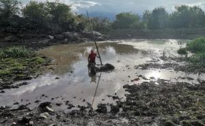 Svaka čast, hrabri ljudi: Pripadnik GSS-a spasio divljeg konja iz mulja! 