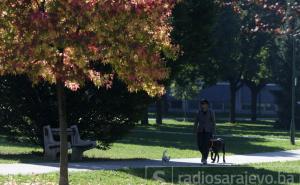 Miholjsko ljeto, žuto lišće i šetnja u parku kod Druge gimnazije