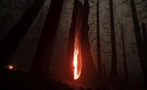 Naučnici: "Ako imate manje od 40 godina, u životu ćete vidjeti zastrašujuće stvari"