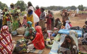U etiopskoj regiji Tigray UN upozorava na visoku stopu pothranjenosti
