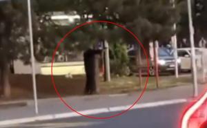 Pogledajte filmski snimak pucnjave u Beogradu 