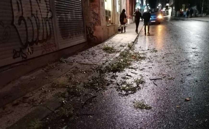 Zamalo tragedija u Sarajevu, veliko stablo se srušilo u prometnoj ulici 