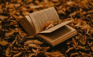 Veliki mjesečni horoskop za novembar: Šta očekuje vaš znak Zodijaka?