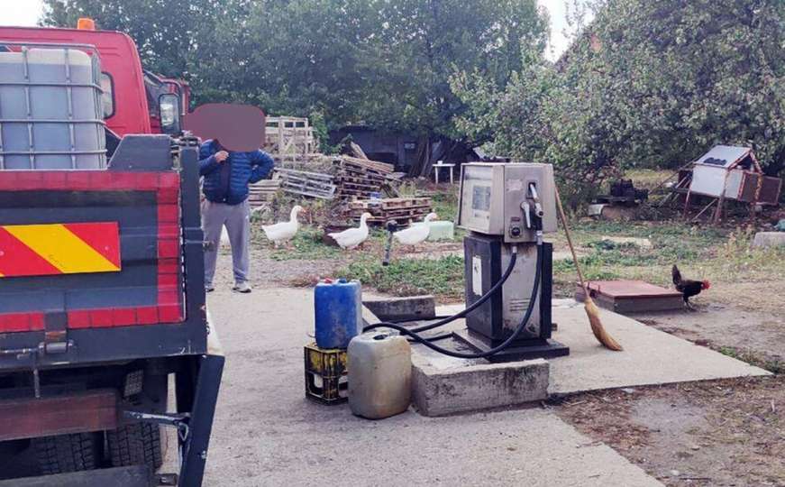 Nezabilježen slučaj: Penzioner držao divlju pumpu u svom dvorištu