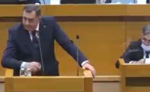 Stanić urlao na Dodika: "Tata ti trabunja"