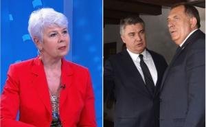 Kosor burno reagirala na susret Dodika i Milanovića
