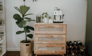 Kako njegovati sobne biljke tokom hladnijih dana