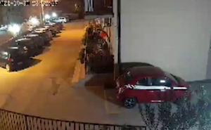 Pogledajte snimak zemljotresa u Srbiji: Kamera sve snimila