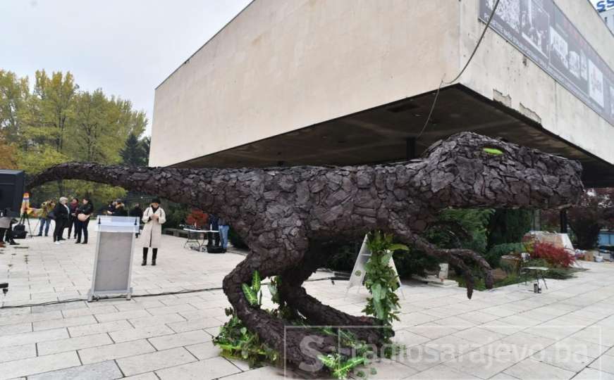Autorica skulpture dinosaurusa: Ljuštenje naglašava poruku nestajanja i izumiranja