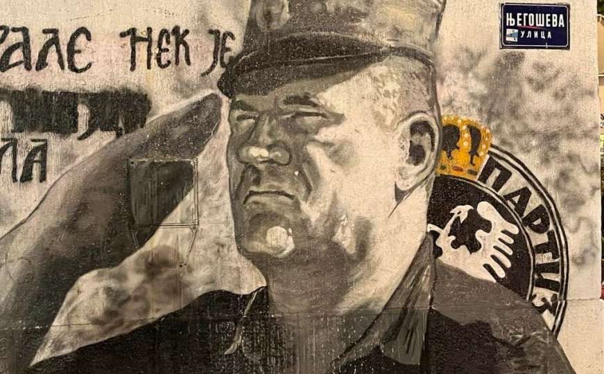 Vijeće Evrope pozvalo vlasti u Srbiji da uklone Mladićev mural