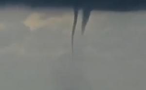 VIDEO: Ribarski brod snimio nekoliko pijavica kod Šolte!